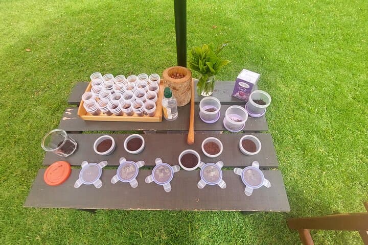 Kiambethu Tea Farm Tour (Thursdays to Sunday)