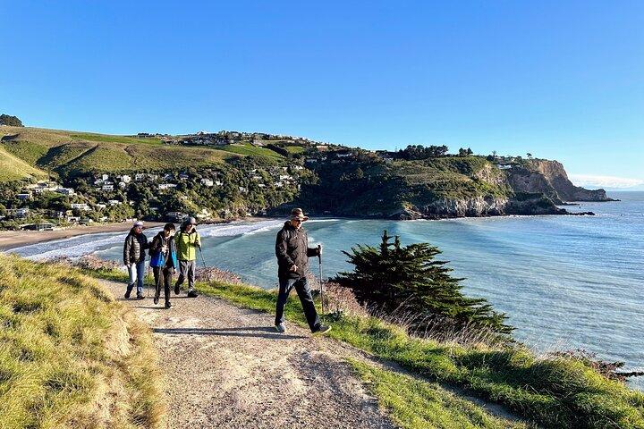 Hele dag Godley Head Kustwandeling met picknicklunch