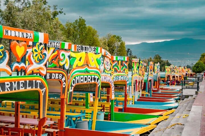 Day of the Dead Tour through Xochimilco and Anahuacalli Museum