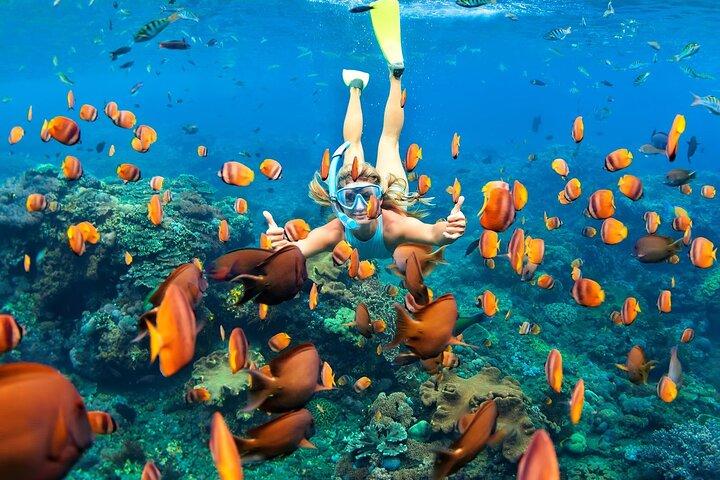 Tulum dagstur: Pyramider + Rev Snorkel och Cenote Simma