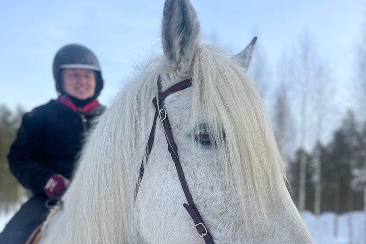 サンタクロース村でのフィンランド馬乗馬ツアー