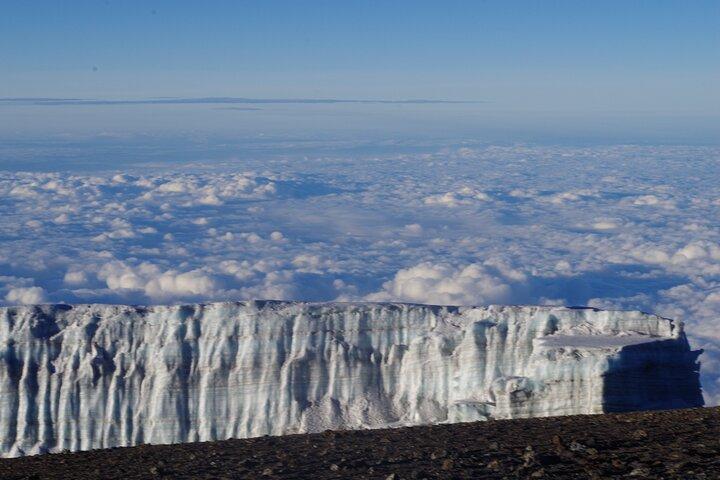 8 dagars vandring Mount Kilimanjaro Lemosho Route