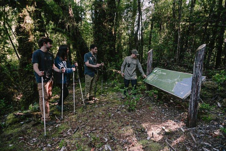 Escursione privata nel Parco Tepuhueico