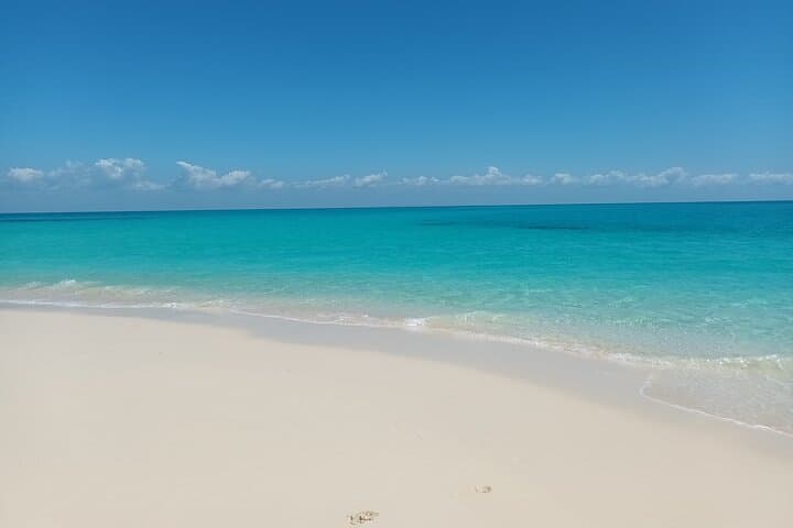 Full day private Nakupenda bis / Nyange Sandbank in Zanzibar