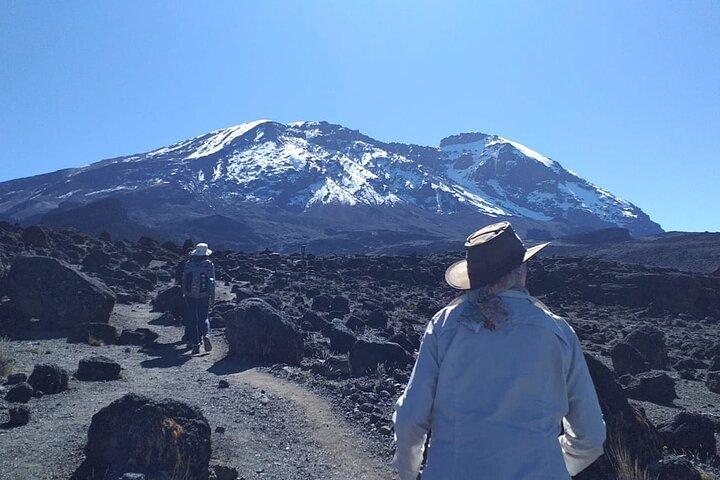 8 dagars vandring Mount Kilimanjaro Lemosho Route