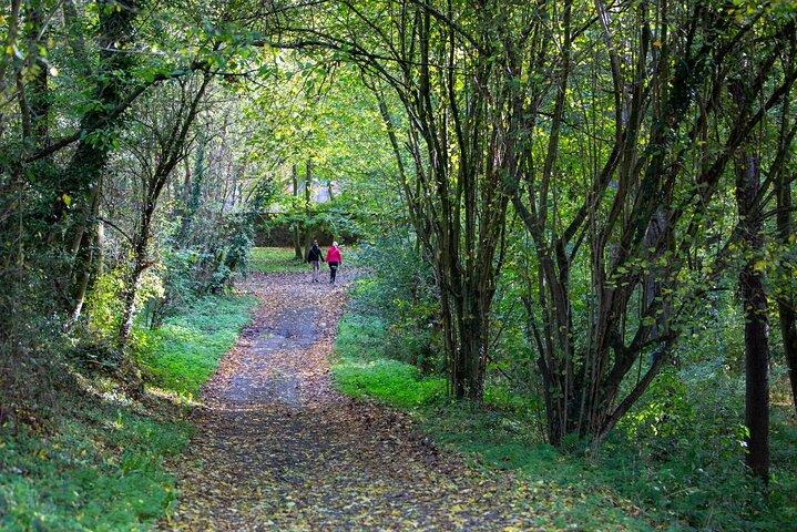 Svelare i tesori di Mons Walking Adventure