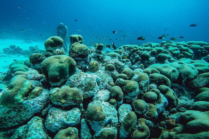 Excursion de plongée à 2 réservoirs à Aruba pour les plongeurs certifiés