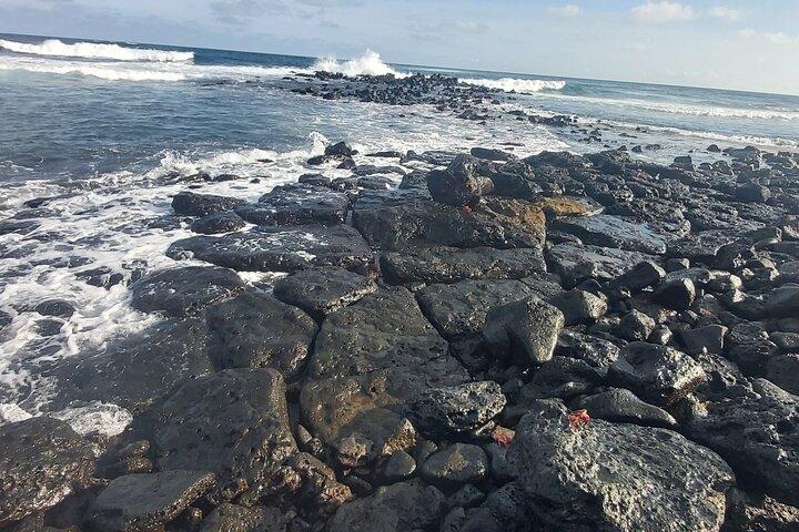 8 Days Galapagos Island Hopping "Santa Cruz & Isabela island"
