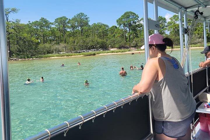 Snorkeling e tour dei delfini per famiglie da FWB