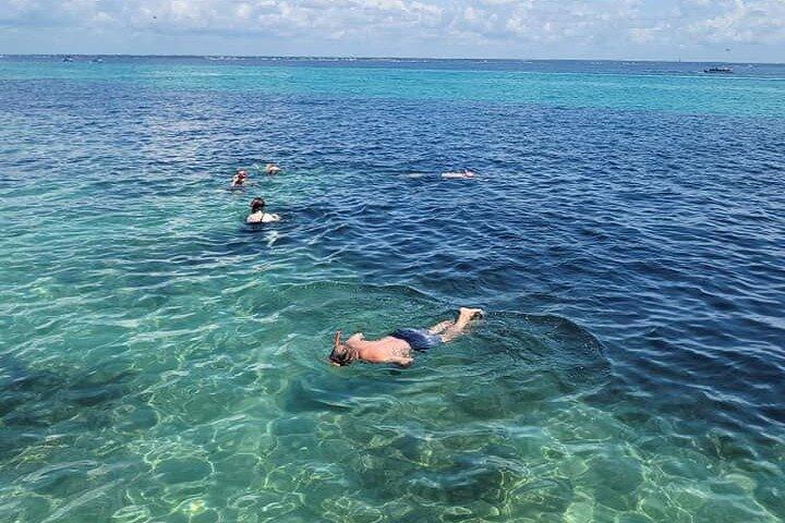 Snorkeling e tour dei delfini per famiglie da FWB