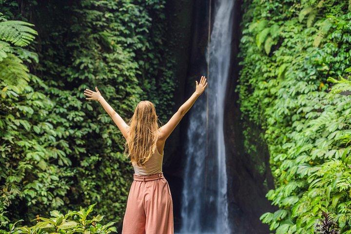 Private Wasserfalltour in Nord-Bali