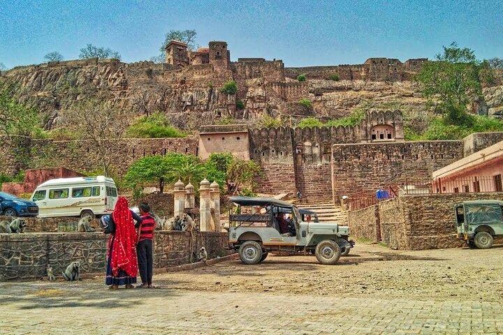 3-tägige private Ranthambore Wildlife Safari Tour ab Delhi