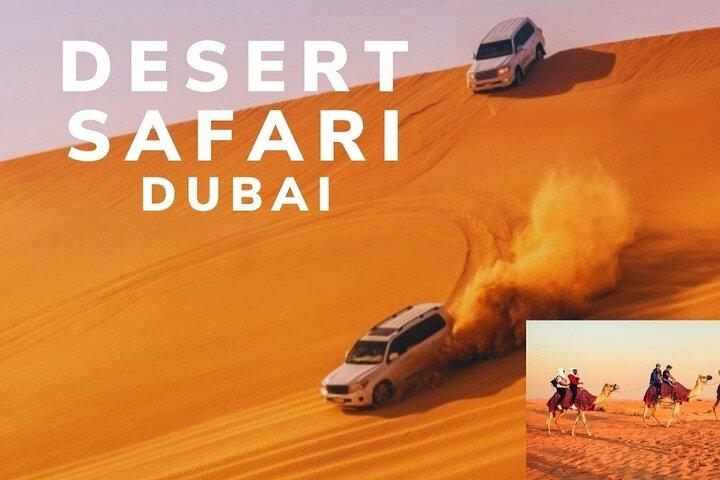 Woestijnsafari-dagtour in Dubai