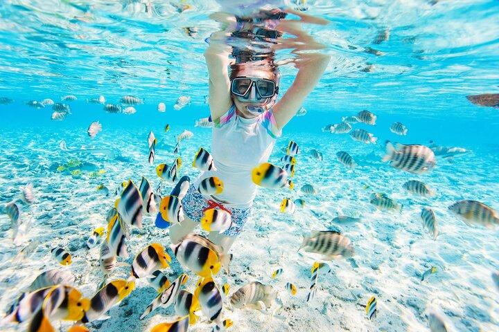 Rifglazen bodem en snorkeltour