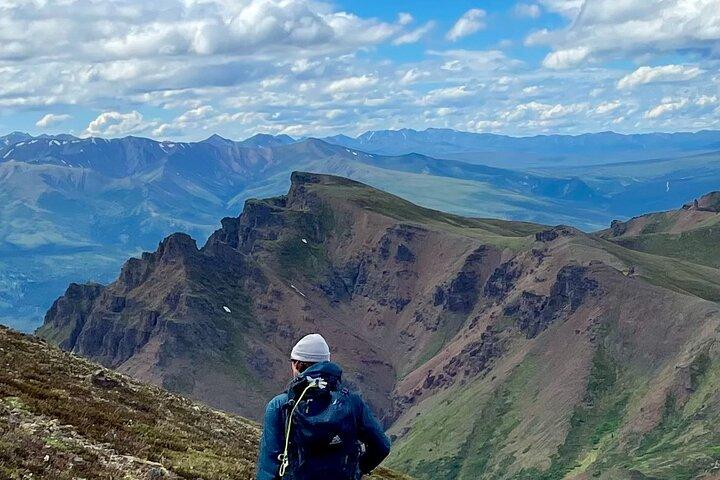 Denali Naturalist Walking Tour