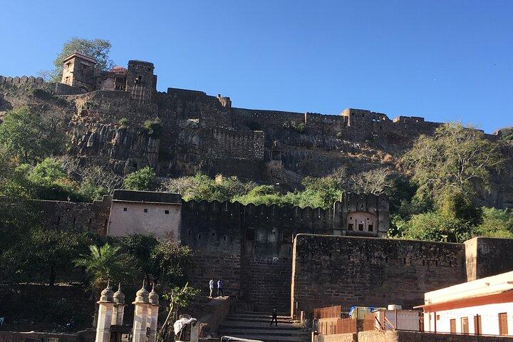 3-tägige private Ranthambore Wildlife Safari Tour ab Delhi