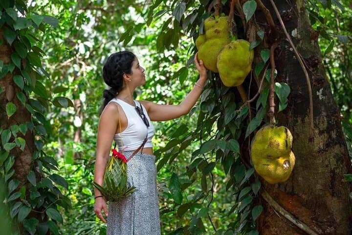 Private Half-Day Zanzibar Tour: Spice Farm & Stone Town Discovery