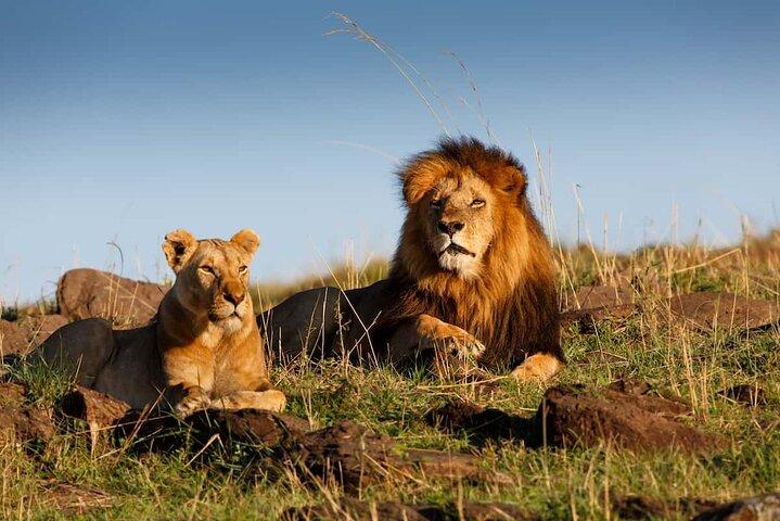 7-Day Private Tour in Uganda and Kenya Safari