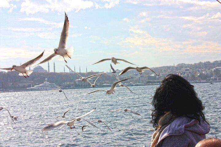 2 Hours Afternoon Bosphorus Cruise