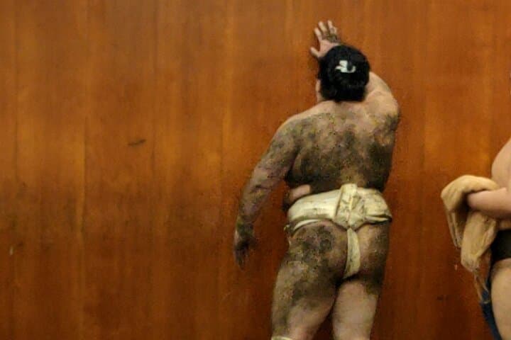 Sumo Training Watching Experience in Tokyo