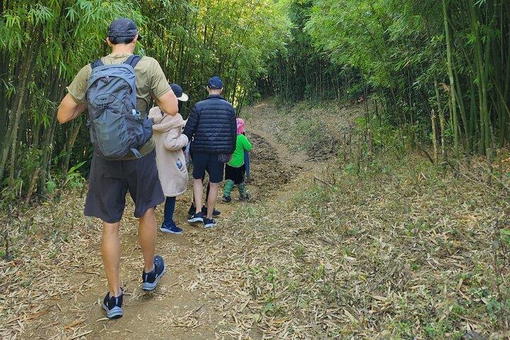 5-stündige private Trekking-Bambuswaldtour im Muong Hoa-Tal
