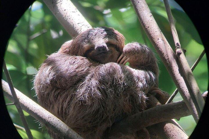 Manuel Antonio Nationalpark med guide