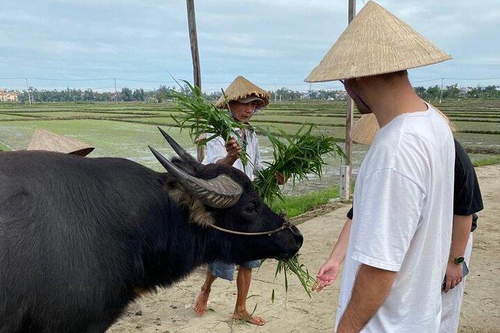 Experimente Buffalo Ride and Farmer em Hoi An