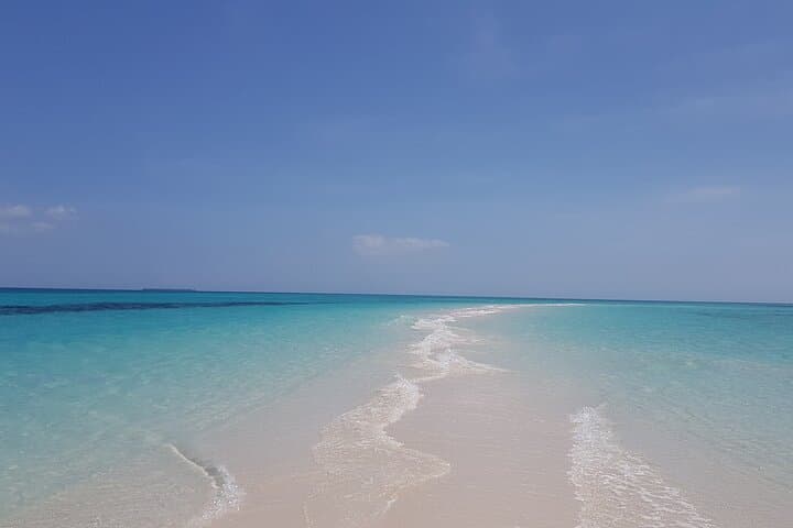 Jozani Forest, Kuza Cave, Paje Beach and The Rock Restaurant