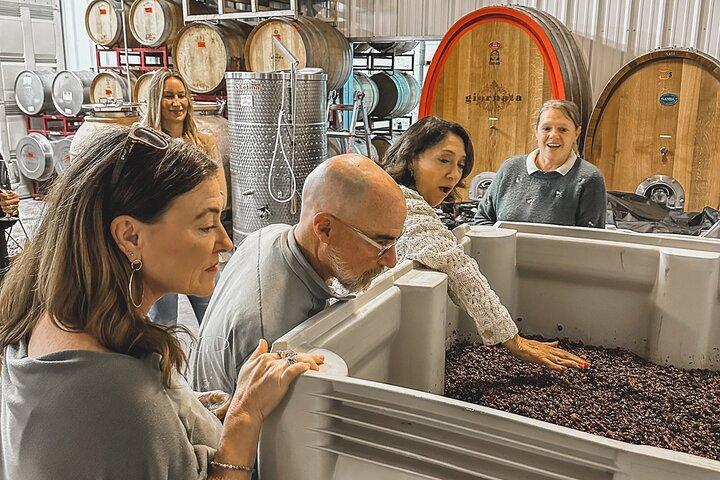 Tin City Walking Tour Paso Robles : Wein, Mittagessen & Spirituosen