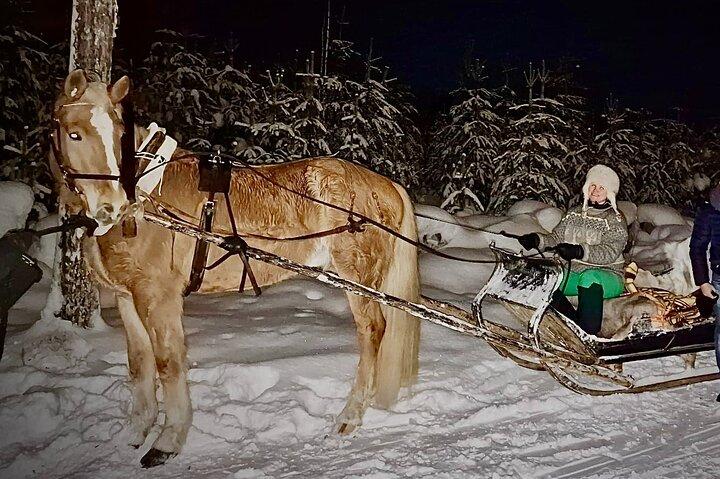 SCVでの伝統的なフィンホースそり乗車(3km)