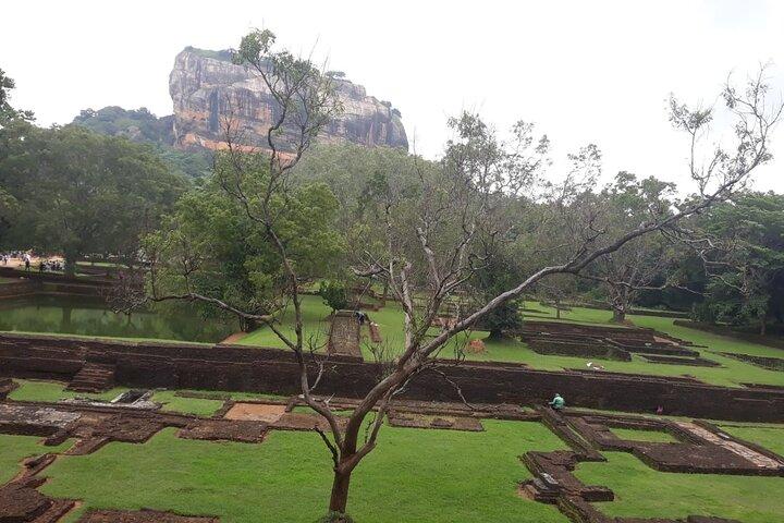 Visite privée du parc national de Sigiriya, Dambulla et Minneriya