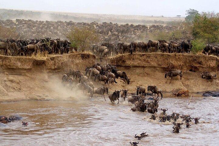 7-Day Private Tour in Uganda and Kenya Safari