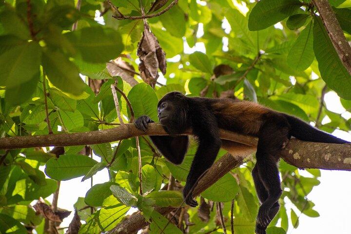 Visite guidée privée en VTT de 4 heures au Costa Rica
