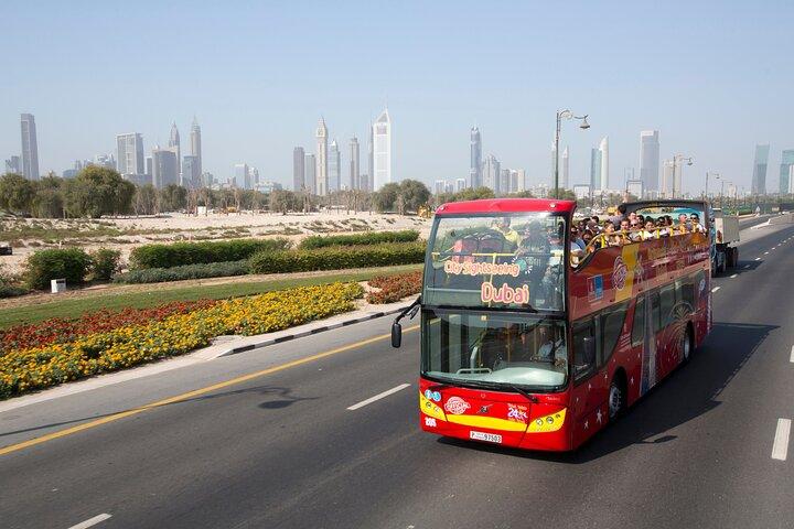 City Sightseeing Dubai Hop-On Hop-Off Bus, Aquarium & Aquaventure