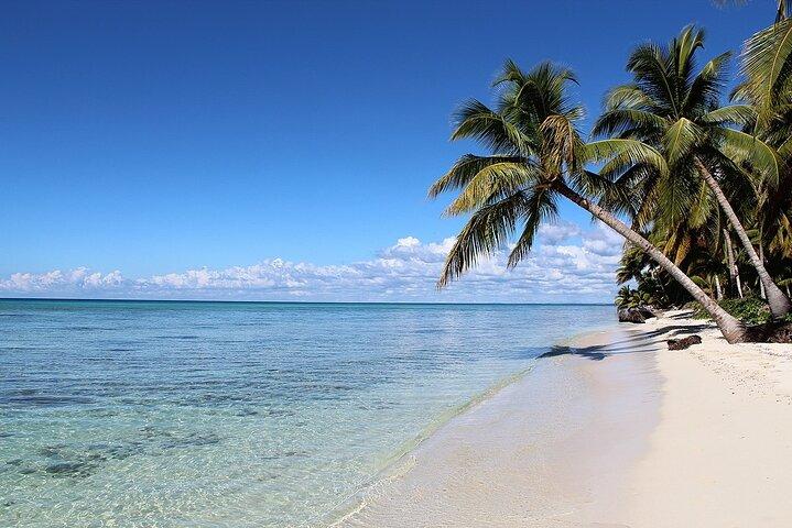 Excursão de dia inteiro à Ilha Saona com almoço saindo de Punta Cana