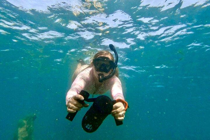ガイド付きジェットシュノーケル体験、ウェストパームビーチでの無料ビデオ