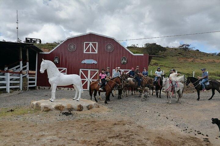Guanacaste dia inteiro: Explore a natureza, cavalos, preguiças e cachoeiras