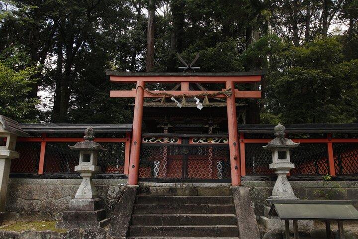 Yoshino Natura e-Bike Tour Cascate, Lago e Foresta