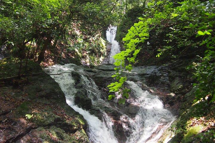 Yoshino Natura e-Bike Tour Cascate, Lago e Foresta