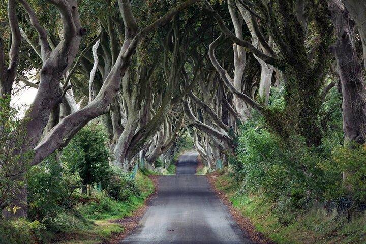 Private Giant's Causeway Tour inklusive Game of Thrones-websteder