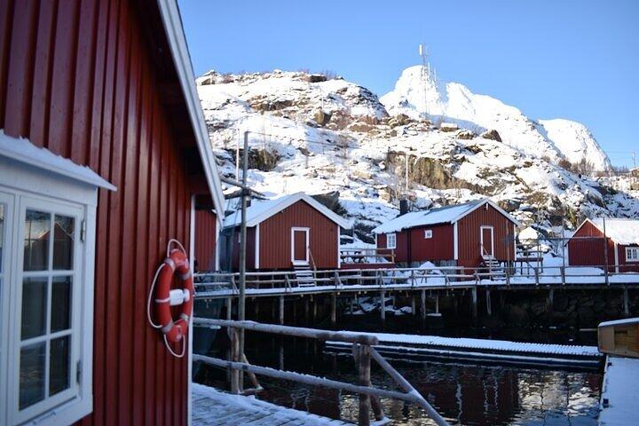 Tour PRIVATO VIP delle Lofoten da Svolvaer