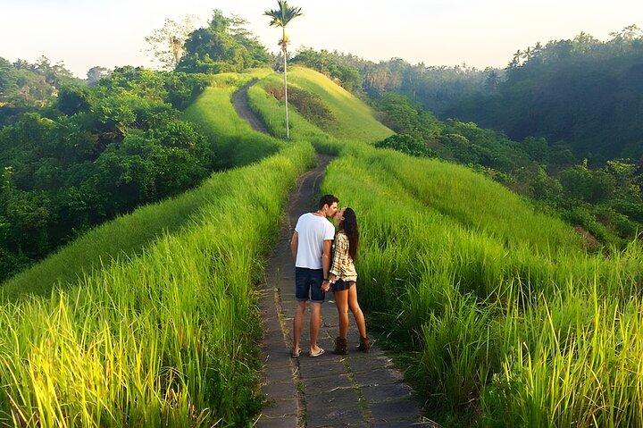 Autocharter voor een hele dag op Bali: alles over de ervaring van een trip naar het dorp in Ubud