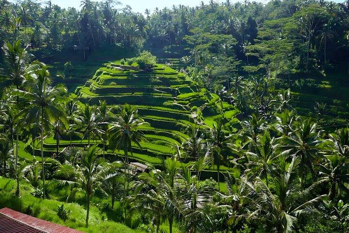 Tour privado de día completo: explora los pueblos de Ubud Bali