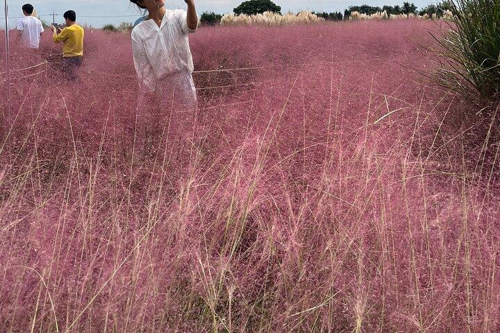 Excursion d'une journée complète au SUD de l'île de Jeju (frais d'entrée inclus)