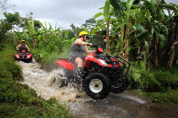 Pacchetti Bali Quad Bike e Swing a Ubud