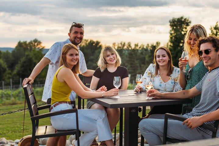 5-stündige Weintour durch die Stadt: 3 Weingüter auf der Leelanau-Halbinsel