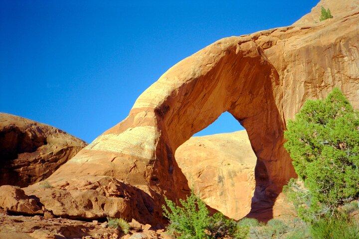 Moabs bedste bagland Arches naturskønne flyvning