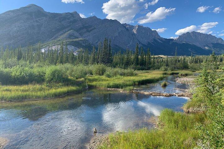 TOUR PRIVADO: Kananaskis Safari Drive y Paseo Natural Guiado 4H