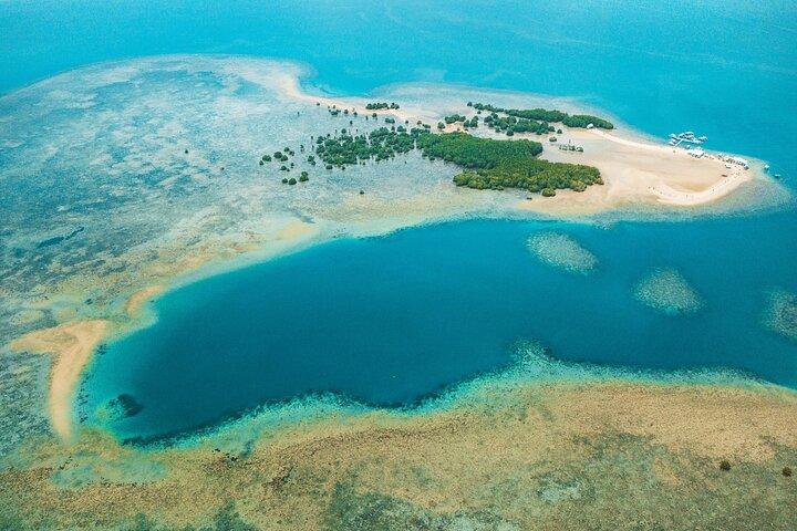 Cowrie Island (Honda Bay) Ganztägiger Landausflug