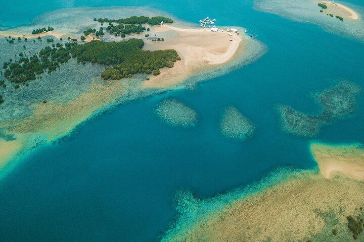 Cowrie Island (Honda Bay) Ganztägiger Landausflug